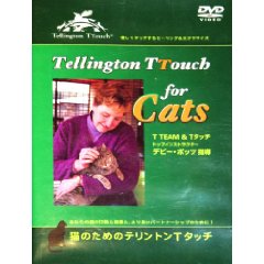 猫のためのテリントンTタッチ
